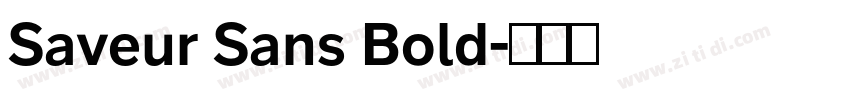 Saveur Sans Bold字体转换